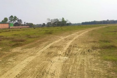A plot for sale in Rangia, Guwahati